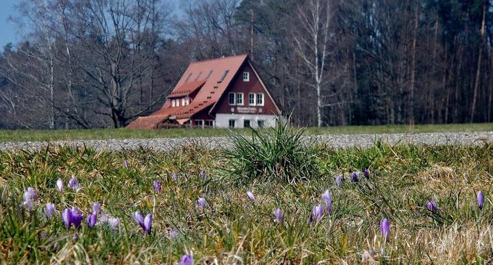 Wanderheim in Zavelstein